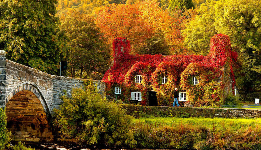 Image result for house in autumn